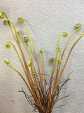 Fern Shoots with Roots, Rustic Wild Plant Crafts, Tropical Greenery, Artificial Flowers, Home Floral Decor, Wedding Party Table Centerpiece faux plants
