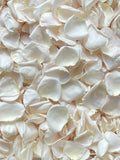 Rose Petals, Ivory Blends, 10 cups of REAL freeze dried rose petals, All Natural and Biodegradable, Perfectly Preserved in the USA wedding flower