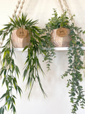 Hanging Faux Bamboo or Eucalyptus Plant in Handmade Wood Pot - Floating Shelf Decor -  Boho Decor - High Quality Artificial Plant faux plants