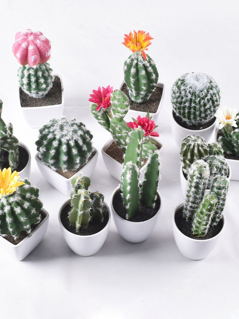Artificial Cactus Plants, Simulated Succulent, Fake Cactus Potting Decoration faux plants