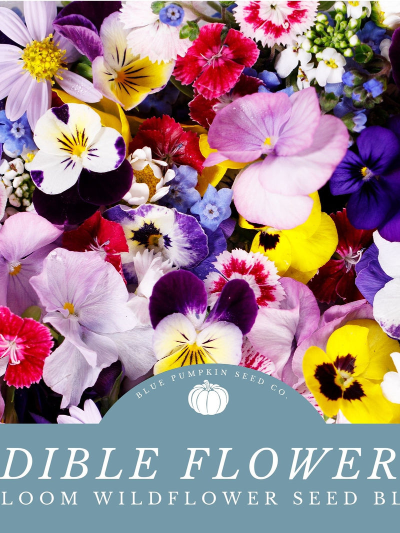 Edible Flowers Seed Blend: Grow A Garden Full Of Edible Flowers! Create Teas, Garnish Dishes, And More! flower seeds