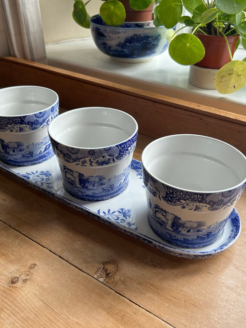 Spode Blue Italian Three Flower Pots with Fitted Stand W40cm, England c2007 flower spore