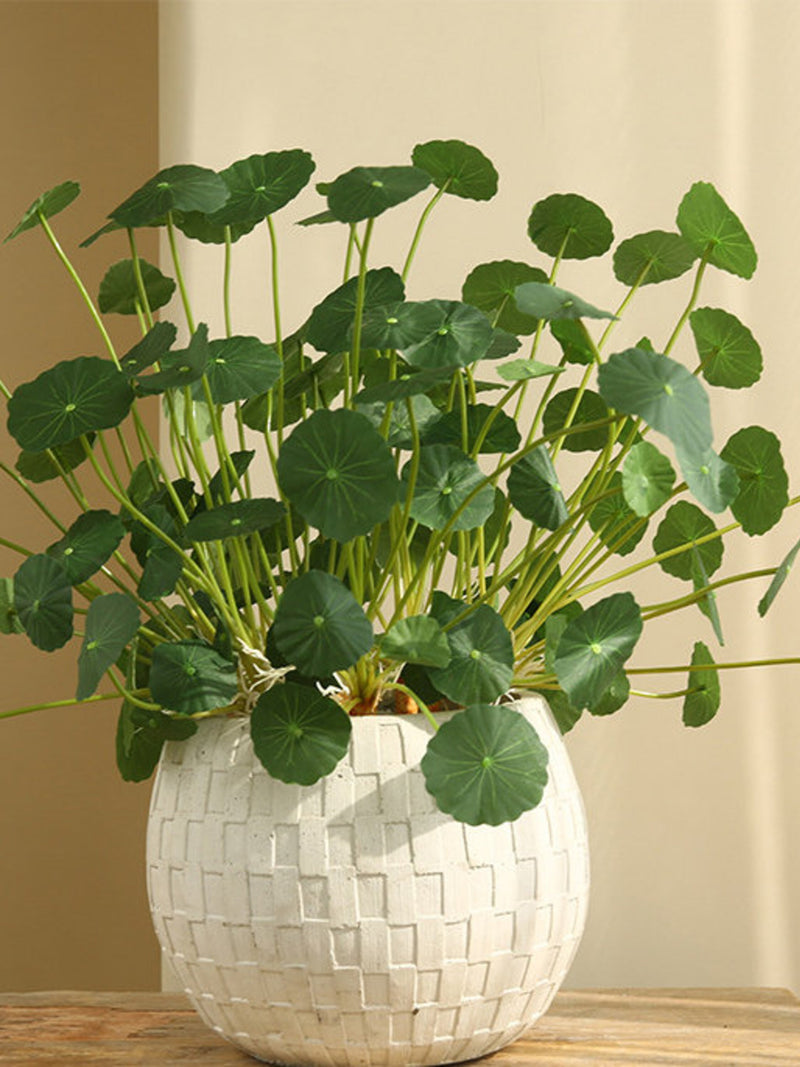 Fake Marsh Pennywort Plant, Hydrocotyle Vulgaris, Chinese Coin Plant, Small Lotus Leaf, Artificial Flower, Home Greenery Decor, Table Floral faux plants