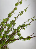 Branch with Green Buds - High Quality Artificial Flowers / Greenery / Wedding / Home Decoration / DIY / Gifts faux plants