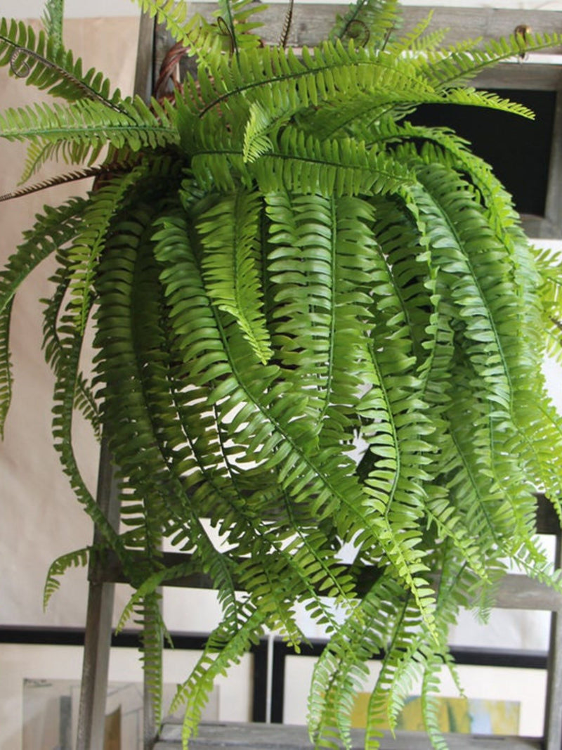 70cm/27.56" Persian fern wall hanging artificial flower plastic green plant fake flower vine faux plants