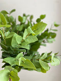 Real Touch Eucalyptus Stem - High Quality Artificial Greenery / Leaf / Wedding / DIY Floral / Home decoration / Gifts / Green faux plants