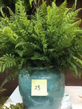 Artificial fern plant,Artificial Bush Indoor Outdoor Greenery,Artificial Succulents Plant Leaf wedding flower DIY Plants Length 17.6" faux plants