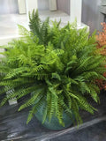Boston Fern Plant 45cm/17.6",Artificial Bush Indoor Outdoor Greenery,Artificial Simulation Plant Leaf Wedding Flower DIY Plants US DDP faux plants