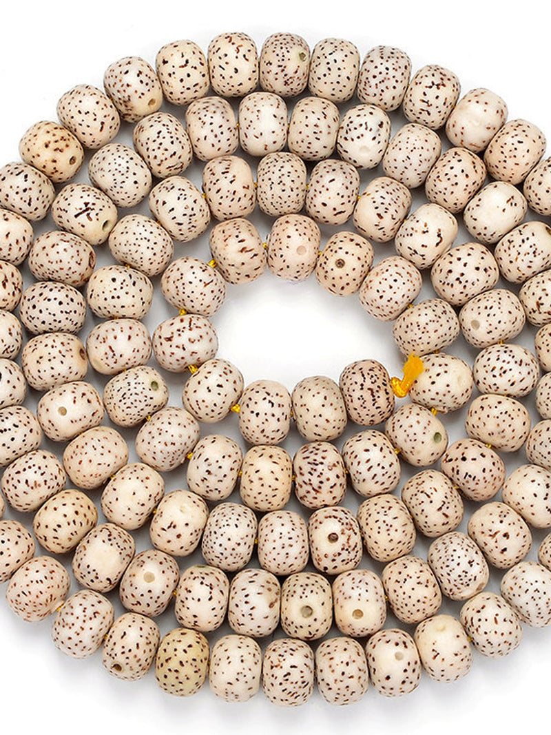 Natural Lotus Seed Bodhi 7X5MM 9X7MM Rondelle Prayer Buddha Mala Meditation Beads BULK LOT 1,2,6,12 and 50 (D472) seeds bulk