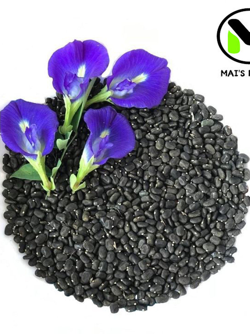 Butterfly Pea Seeds (Clitoria Ternatea)- Hoa __u Bi_c - Organic flower seeds