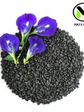 Butterfly Pea Seeds (Clitoria Ternatea)- Hoa __u Bi_c - Organic flower seeds