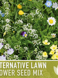 Alternative Lawn Flower Seed Mix Ð Ecofriendly Ground Cover flower seeds
