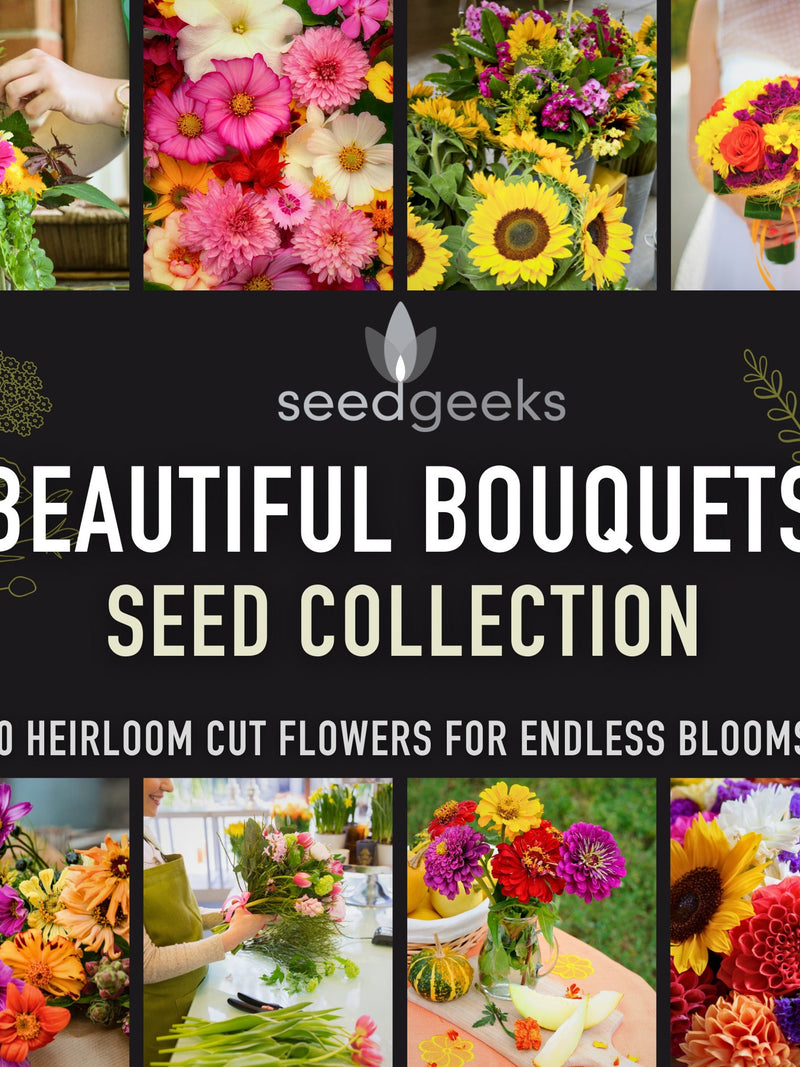 Heirloom Cut Flower Bouquets Seed Collection Ð Flower Farmer, 10 Open Pollinated Varieties flower seeds