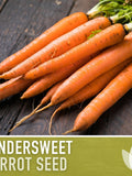 Tendersweet Carrot Seeds - Non-GMO, Coreless | 150 Seeds seeds bulk