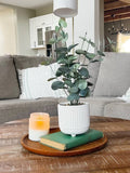 Faux Eucalyptus Plant faux plants