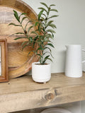 Faux Small Olive Plant 16" Tall faux plants