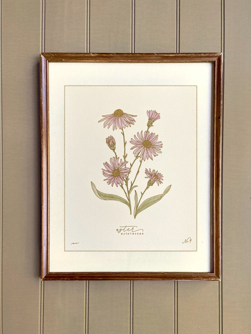 SEPTEMBER birth month flower print | heirloom botanical wall art | hand drawn ASTER birthday flower