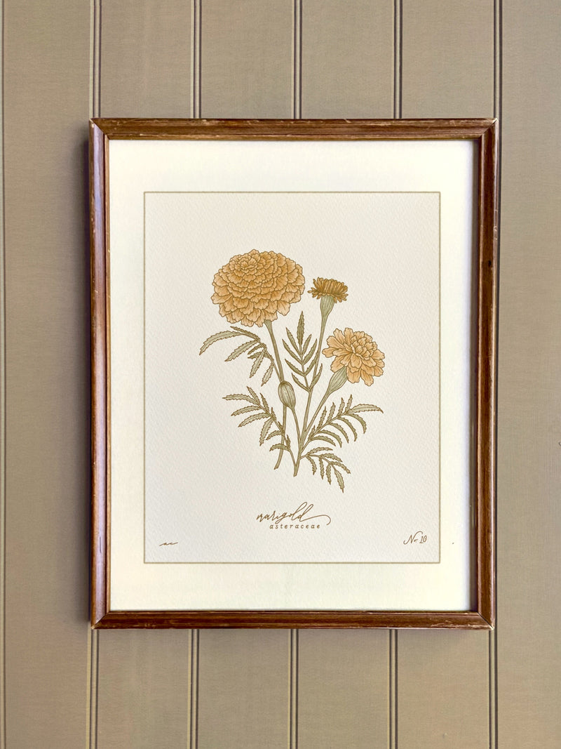 MARIGOLD birth month flower print | OCTOBER birthday gift | heirloom botanical wall art birthday flower