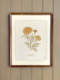 MARIGOLD birth month flower print | OCTOBER birthday gift | heirloom botanical wall art birthday flower