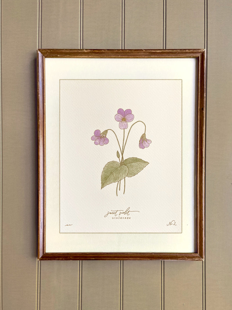 VIOLET birth month flower art | FEBRUARY birthday gift | heirloom nursery wall art birthday flower