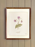 VIOLET birth month flower art | FEBRUARY birthday gift | heirloom nursery wall art birthday flower