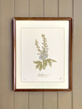 JULY birth flower art print | LARKSPUR flower illustration | heirloom botanical nursery decor birthday flower