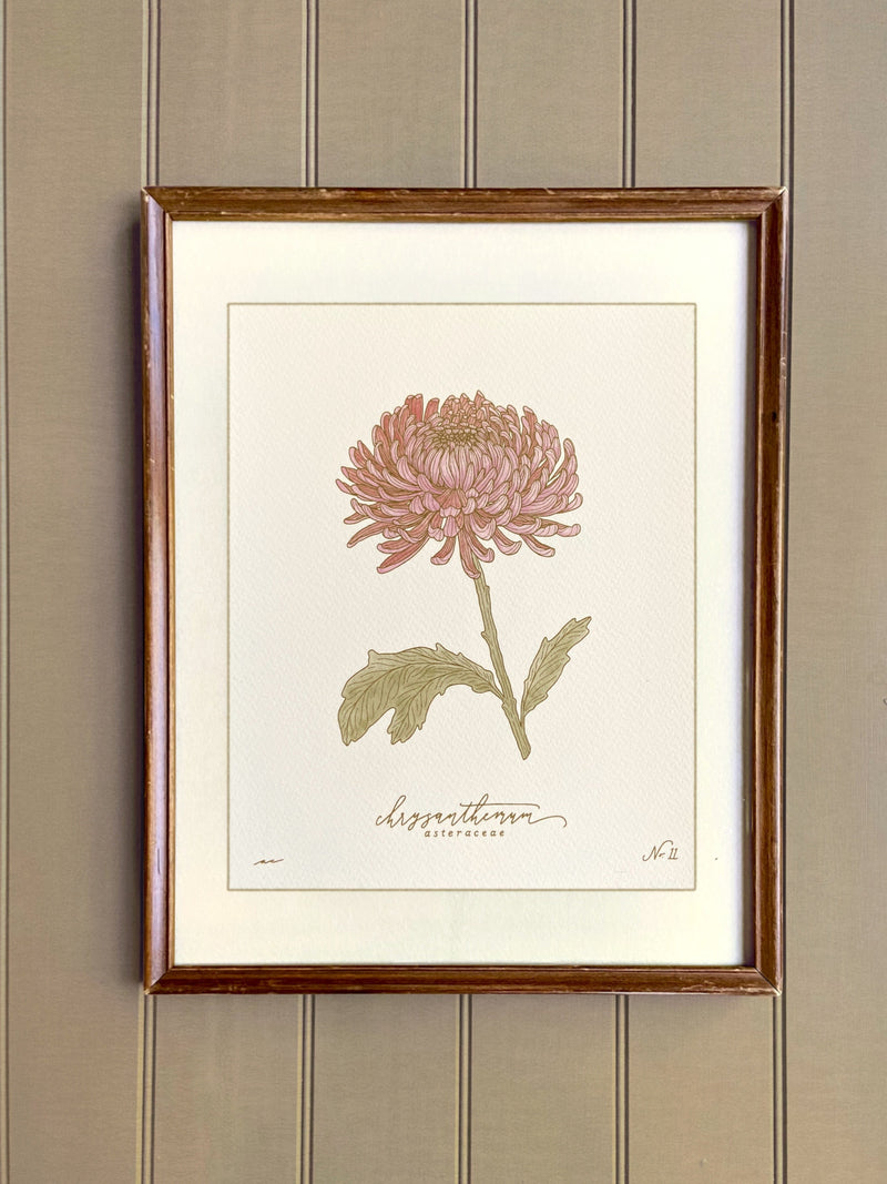 NOVEMBER birth flower art print | meaningful, heirloom home decor | hand drawn CHRYSANTHEMUM birthday flower