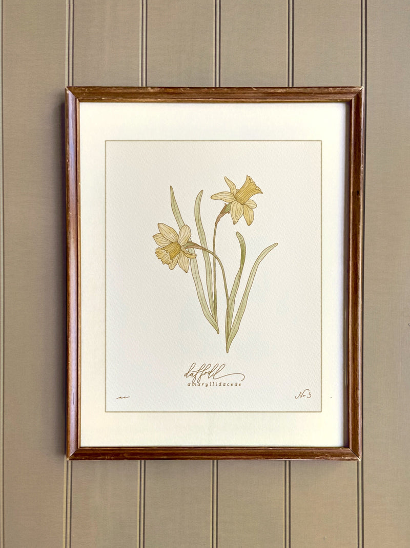birth flower art print MARCH | hand drawn DAFFODIL | heirloom nursery wall art birthday flower