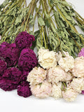 Dried Peony Blooms Ð Rustic Wedding & Home Decor FLOWER DELIVERY
