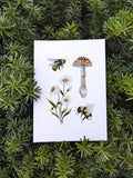Bumblebee, Mushroom & Daisy Watercolor Print | 5"x7" Signed Archival Quality Fine Art Print house warming flower