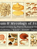 France Herbarium & Mycology 97 Botanical Illustrations V5 | Botany Fungi Medicinal Plant Mushroom Flower Painting Wall Art| Digital Download flower spore