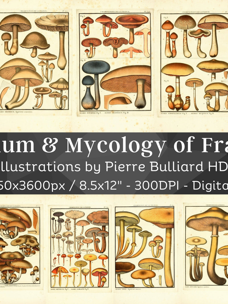 France Herbarium & Mycology 96 Botanical Illustrations V6 | Botany Fungi Medicinal Plant Mushroom Flower Painting Wall Art| Digital Download flower spore