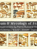 France Herbarium & Mycology 96 Botanical Illustrations V6 | Botany Fungi Medicinal Plant Mushroom Flower Painting Wall Art| Digital Download flower spore