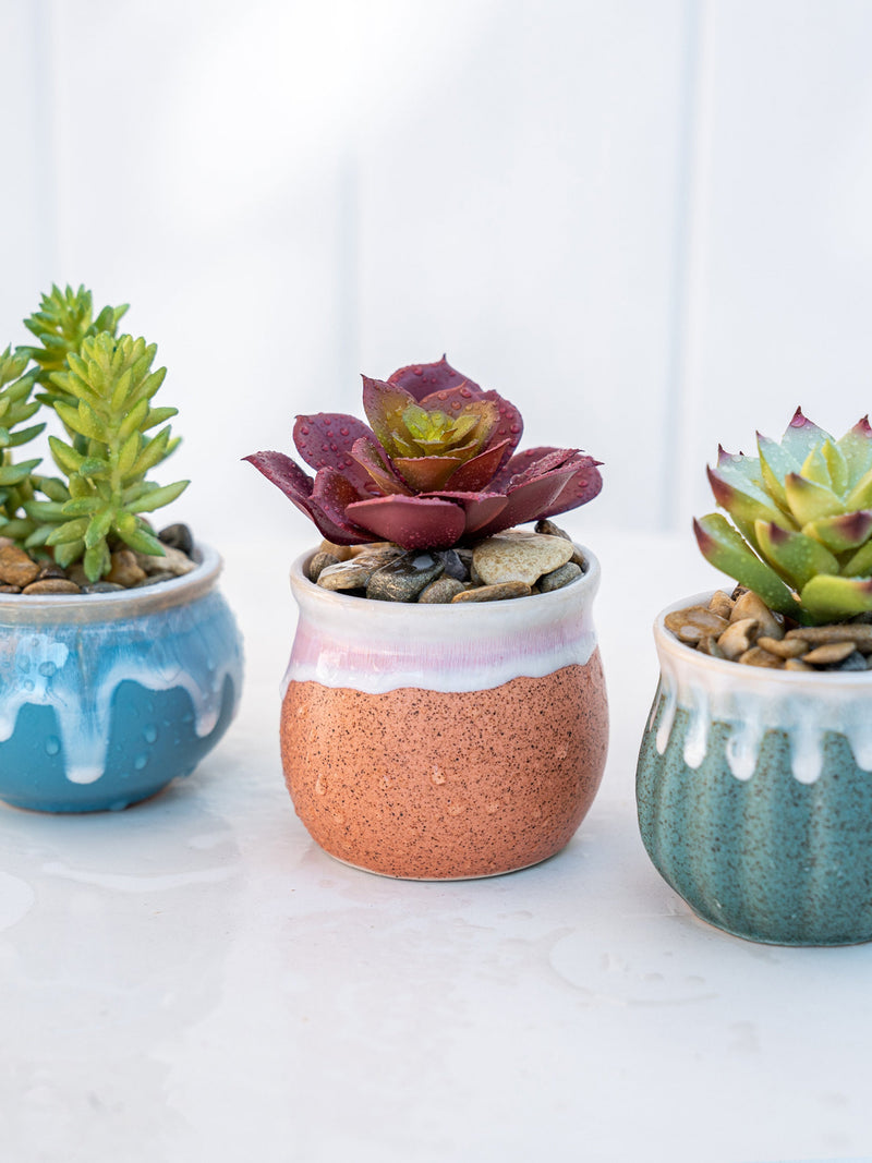 Set of 3 Faux Succulent Plants with Glaze Ceramic Pot, Artificial Succulent - Desk Decor, Mini Faux Fake Potted Home Office Decor faux plants