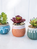 Set of 3 Faux Succulent Plants with Glaze Ceramic Pot, Artificial Succulent - Desk Decor, Mini Faux Fake Potted Home Office Decor faux plants