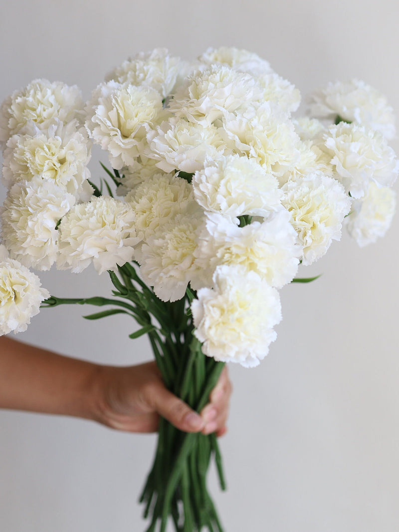 17" Faux Real Touch Carnations-Cream White, Artificial Carnation Stem, DIY Centerpieces/Florals/Wedding/Home Decorations, Gifts For Her FLOWER DELIVERY