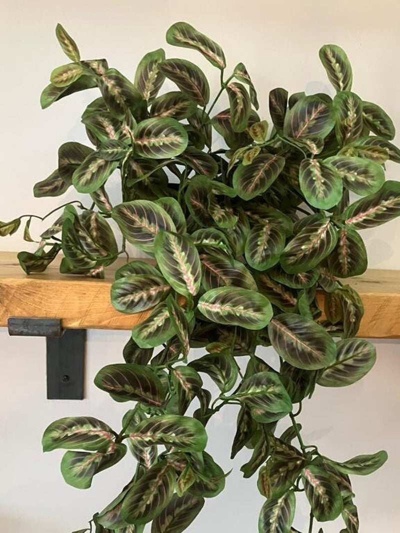 Artificial Maranta 70cm - With Or Without Pot faux plants
