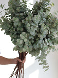 31.5" Faux Gray-green Spiral Eucalyptus Branch, Artificial Wedding Greenery, Fake Plant, Home/Kitchen Decoration, DIY Florals Centerpieces, faux plants