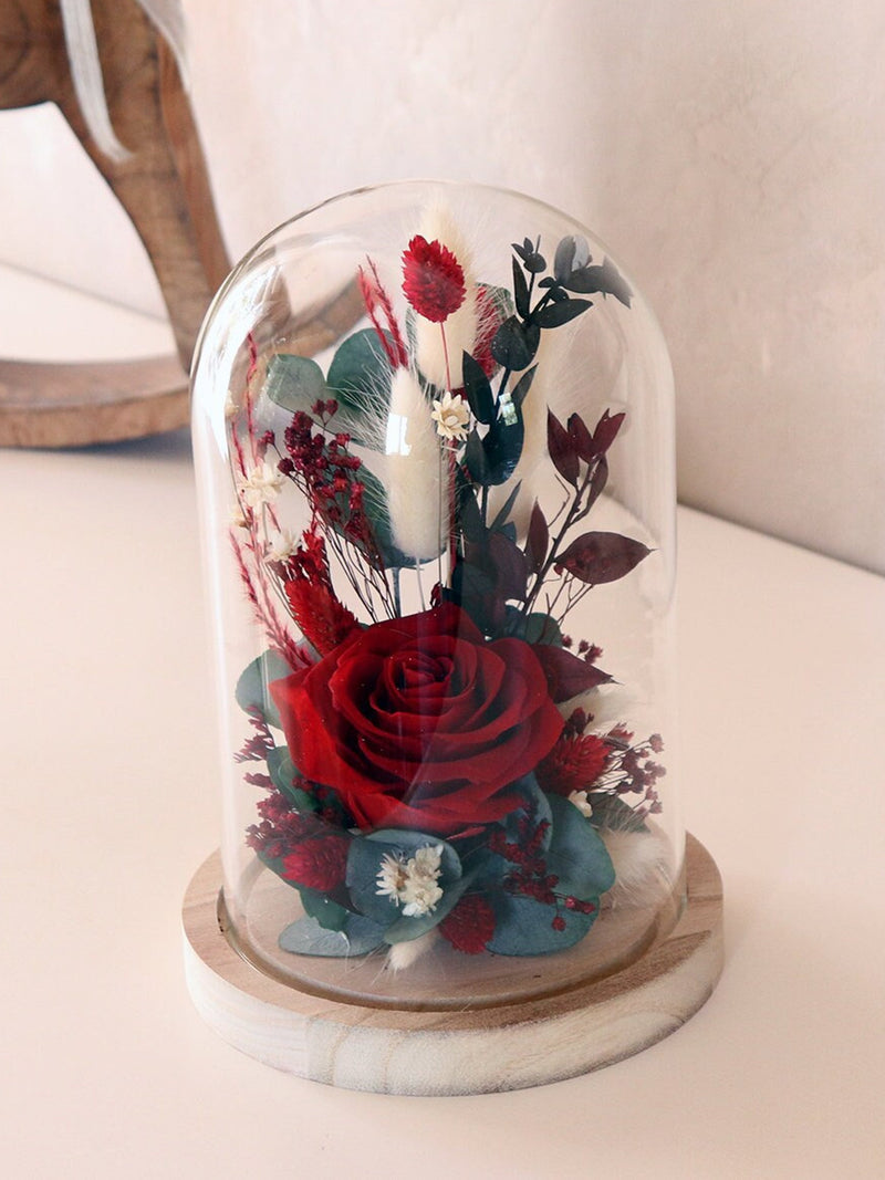 TANGO Eternal red rose under a glass bell eco-responsible trendy gift for Christmas and Valentine's Day or for traditional Christmas decor FLOWER DELIVERY