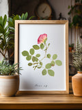 Rose Pressed Flower Art Print: Botanical Garden Decor house warming flower