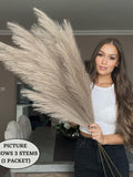 x3 STEMS 115cm Extra Large Tall Fluffy TAUPE Fake Faux Artificial Pampas Grass Feathers Floor Vases Fillers Boho Chic Home Decor faux plants