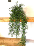 Artificial Mini Jasmin faux plants