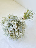 Eucalyptus & Baby's Breath Dried Flower Wedding Bouquet wedding flower
