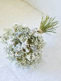 Eucalyptus & Baby's Breath Dried Flower Wedding Bouquet Bouquet
