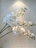 White Orchids Real Touch Flower, 9 Heads Silk Orchids, DIY Artificial Flower, Fake Orchid Stem for Wedding/Home Decoration, Faux Centerpiece silk flower
