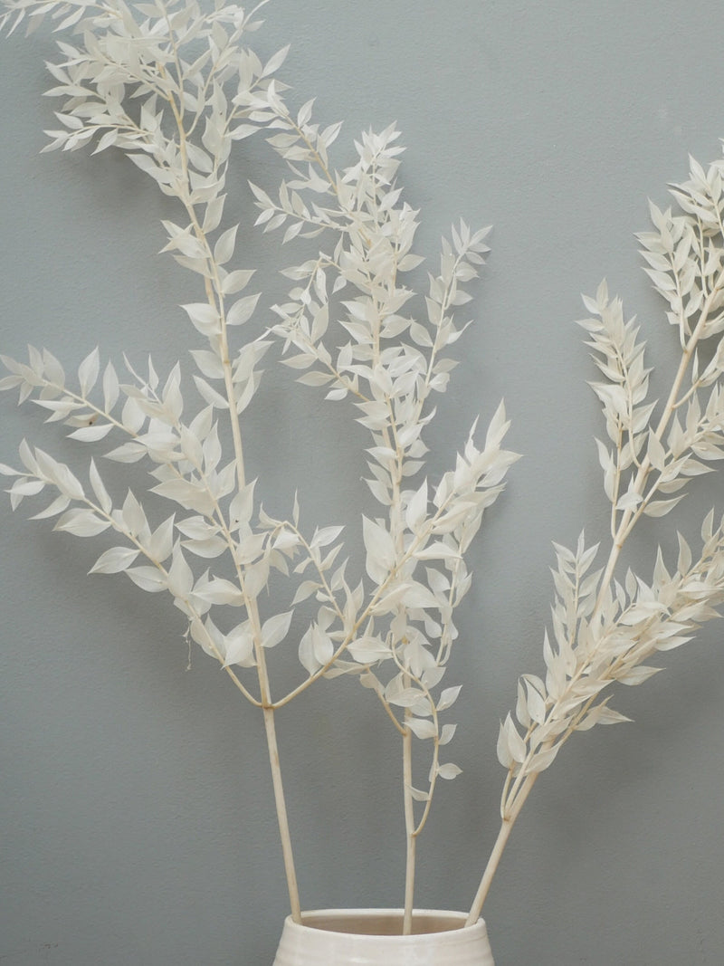 Ruscus  Bleached White Preserved/ Dried Flowers | Rustic Home Wedding FLOWER DELIVERY