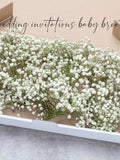 Preserved Baby's Breath Stems, Natural Gypsophila, Wedding Decor wedding flower