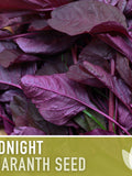 Midnight Red Amaranth Seeds Ð Heirloom, Salad Greens, Cut Flower flower seeds