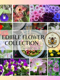 Edible Flower Seed Gift Box Collection, Sampler Gift, 10 Individual Packs, 820 seeds, 01EF10 flower seeds