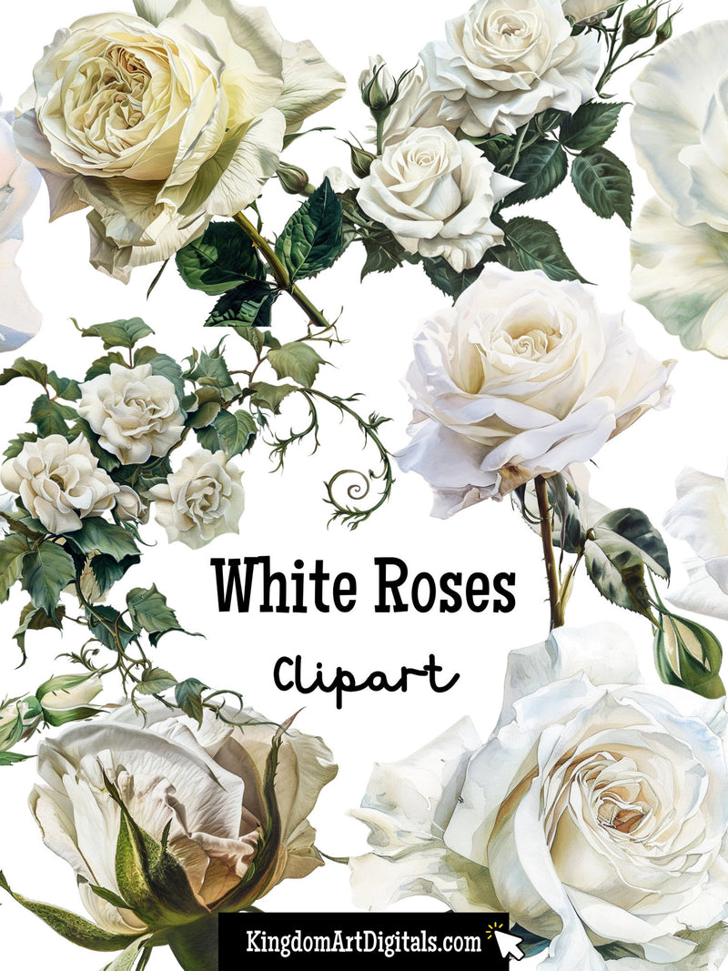 White Roses Clipart Set | Watercolor Flower clip art, Floral png, Love PNG Bundle, Romance clip art, wedding anniversary Rose Valentines Day Love Romance Flower